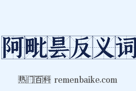 阿毗昙反义词是什么意思的图片